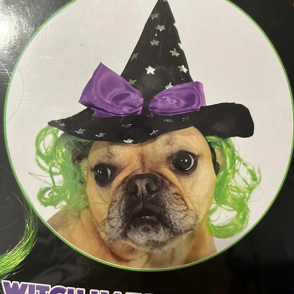 NWT Witch Hat With Green Hair for dogs or cats!